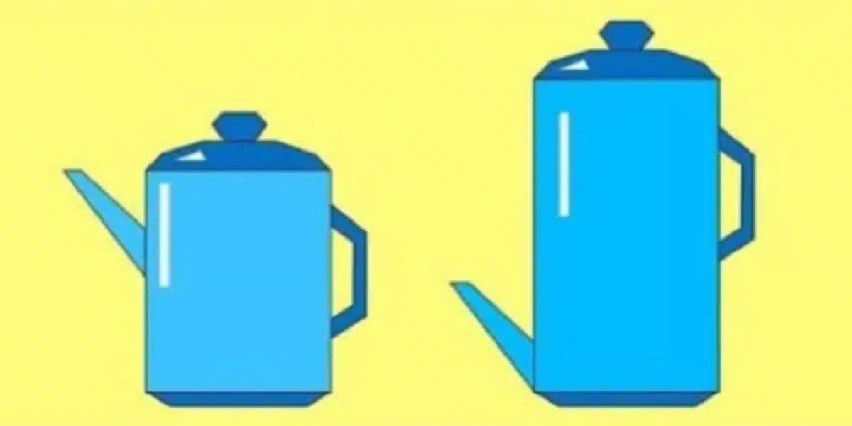 Hangi çaydanlık en fazla çay içerir? Görünüşte basit bir bilmece